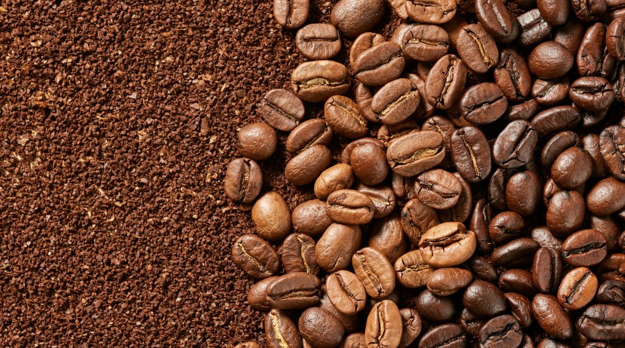 Les meilleures régions du monde pour du café d’exception Moulin Abénakis